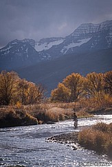 Provo River Fishing 103018 6582 3