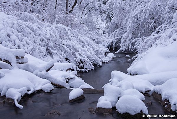 North Fork Creek 011215 2