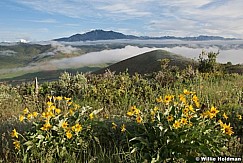 midwayclouds052509 24695