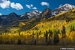 Box Elder Autumn 100416