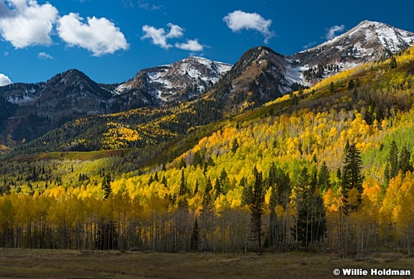 Box Elder Autumn 100416