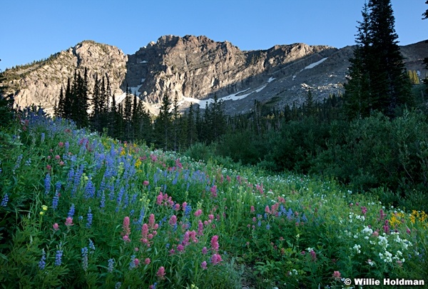 Albion basin 082311 127