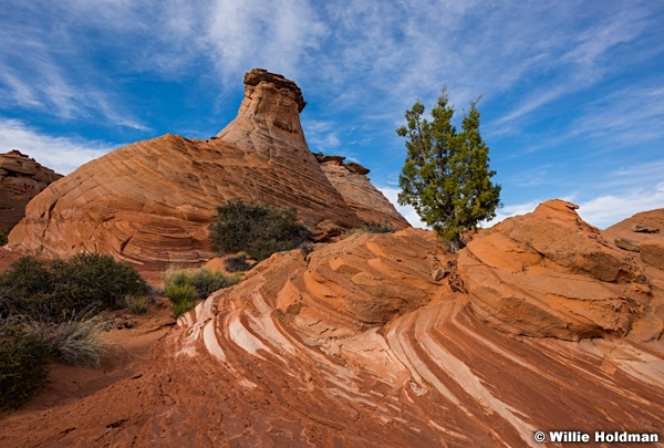 Escalante Rocks 042717 9721 2