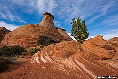 Escalante Rocks 042717 9721 2