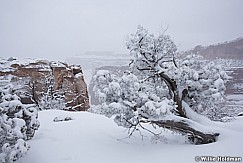 Canyonlands Snowfall 020116 1429