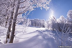 Big Cottonwood Canyon white 030315 0882