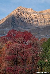 Sundance Timpanogos Autumn 1103121 4832