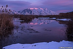Utah Lake MapleMtn Reflection 020514 7664