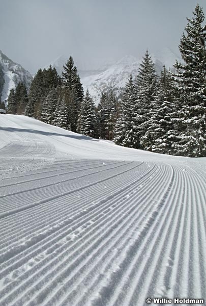 sundance012708 IMG 03808