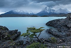 Torres Del Paine 031716 8003