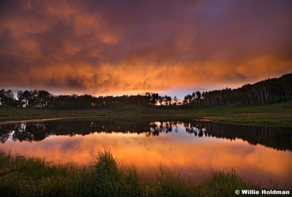 Golden Pond 062214 7001f