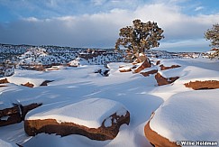 Capitol Reef Snow 012621 9259 3