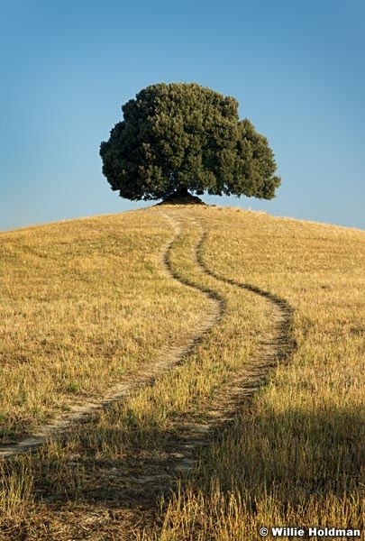 Oaktree092309