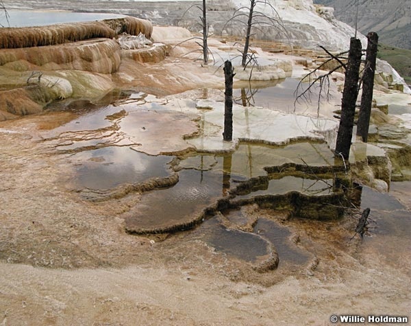 Yellowstoneminerals0012