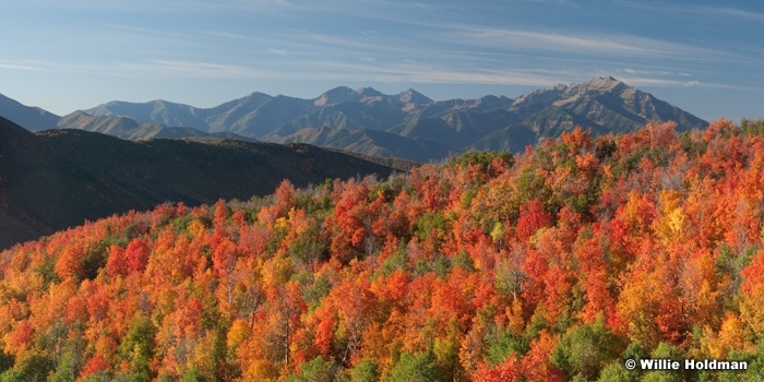 wasatchcascadecolor091510
