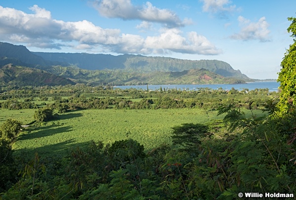Hanalai Bay Kauai101621 5361