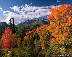 Timpanogos Autumn Color 091713