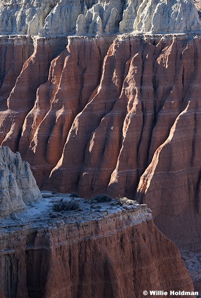 Cathedral Valley Reef 050226 6232