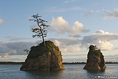 062507oceanoregon728