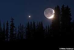 Crescent moon pines 071518 1742