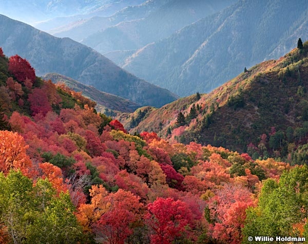 Maple Layers ProvoCanyon 6x7 092312