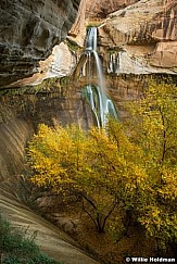 Escalante Yellows Waterfall 102423 3559