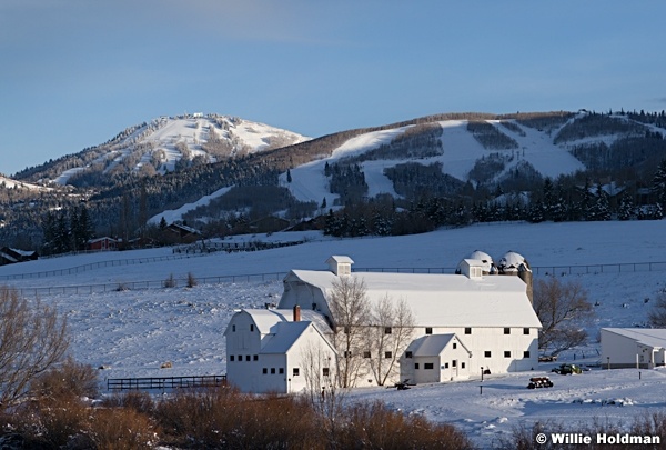 McPolin Winter Barn040913