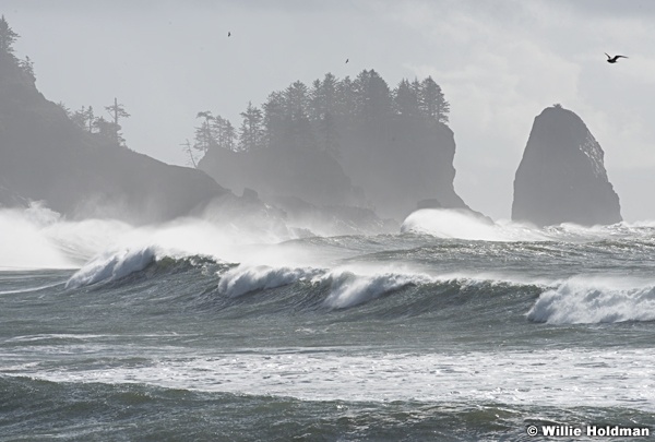 La Push Waves 102916 8661