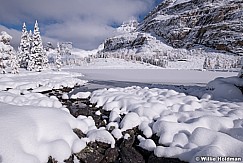 Larch Winter Opabin 100318 7444