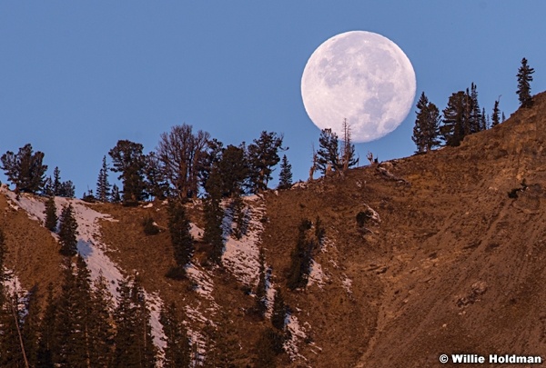 Full Moon Pioneerpeak 101913 3088