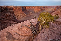 Moses Zeus Canyonlands 032613 934