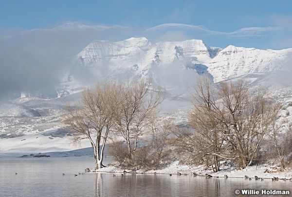 Deer Creek Geese Timpanogos 040220 9675