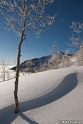 wasatchpowder012810 0454