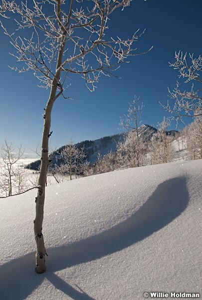 wasatchpowder012810 0454