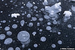 Ice Bubbles 121818 0210 5