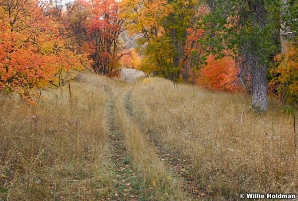 Hobblecreek010107 1049