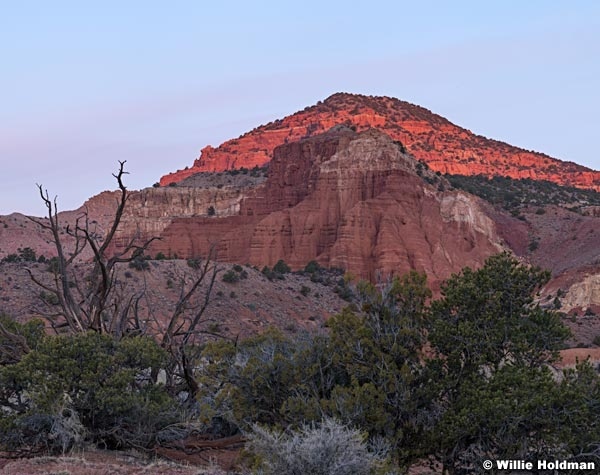 Torrey Knoll 040820