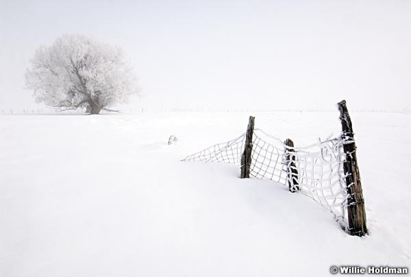 wintersfrost011409 10943