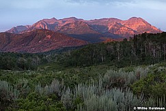 Pink Timpanogos 072713