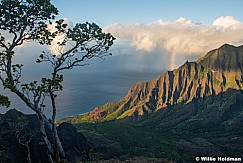 Kokee Na Pali Rainbow Kauai 101821 7436