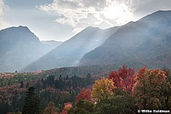 Autumn Maples Timpanogos 091920 9371 2