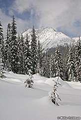 canadianmajesty021507