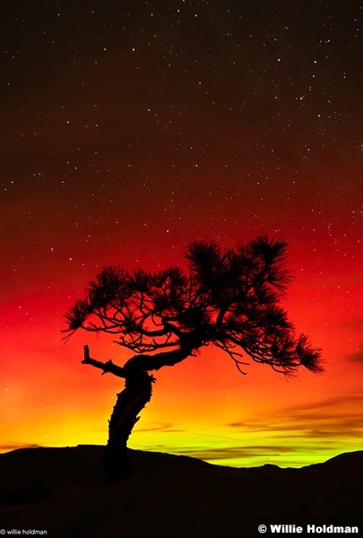 Northen Lights Capitol Reef 111125 5