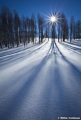 Aspensunmeadow012011 894