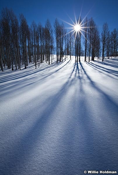 Aspensunmeadow012011 894
