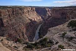 Colorado River Canyonlands 052126 8437