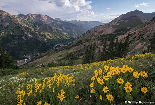 Little Cottonwood Canyon 071118 0074