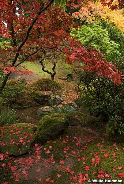 Japanese Garden 102716 7510