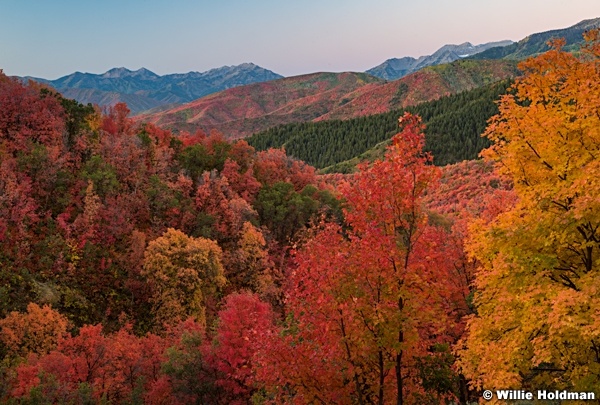Autumn Color Wasatch State Park 092524 0137