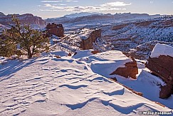 Capitol Reef Winter 010215 3330